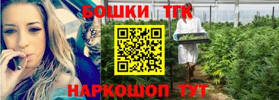 индика Канаш