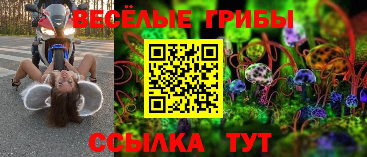 Галлюциногенные грибы Psilocybine cubensis Ступино