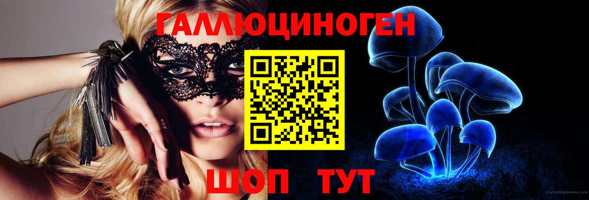 Псилоцибиновые грибы мицелий  купить наркотик  Ступино  Вход с VPN 